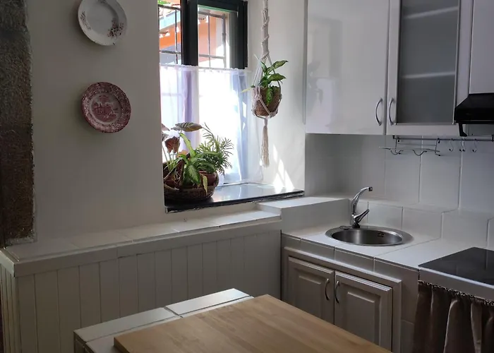 Casa Dos Cregos Kır Evi Bascuas