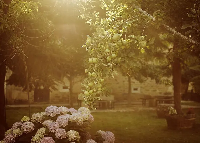 Casa Dos Cregos Kır Evi Bascuas